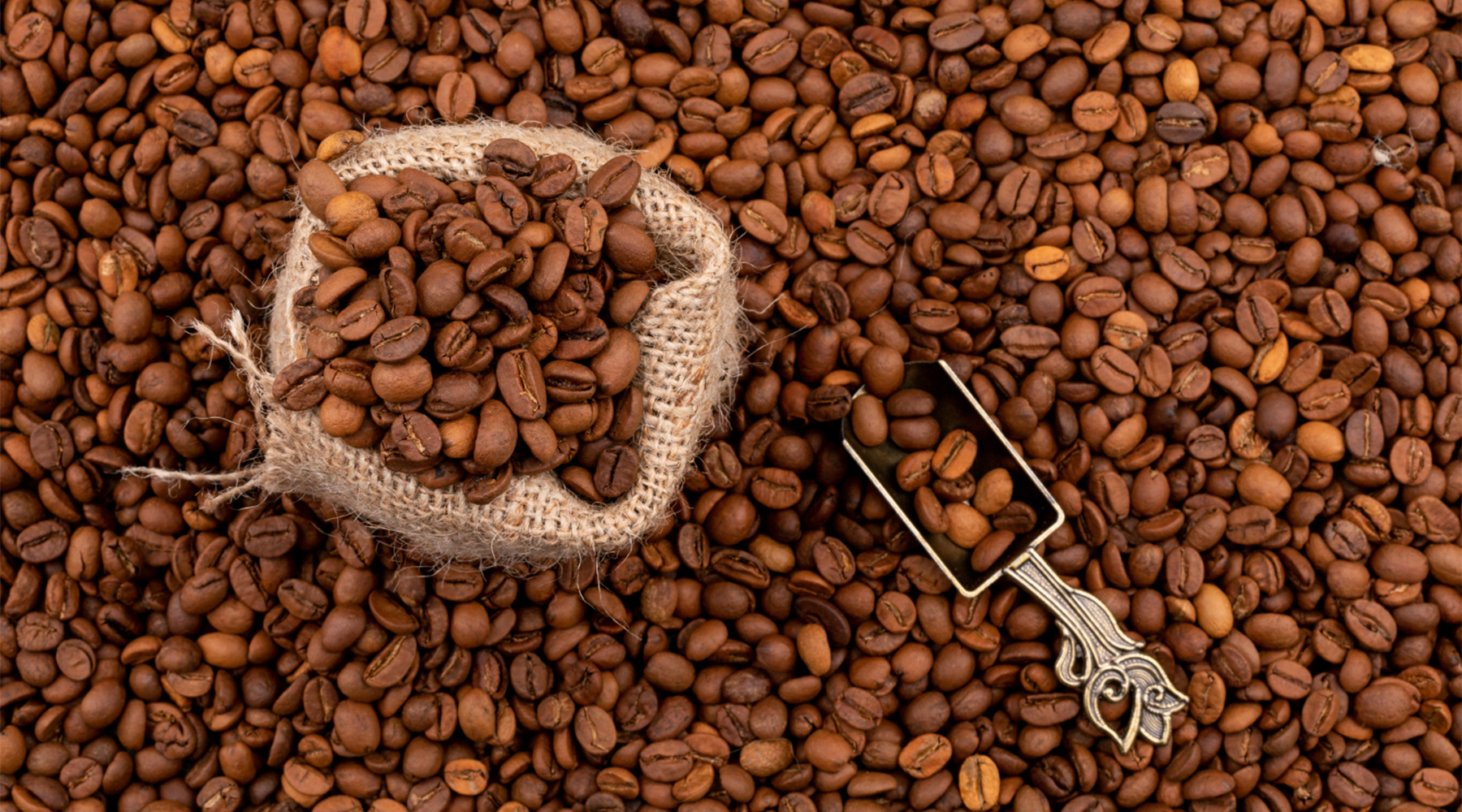 What Is a Light Roast Coffee?
