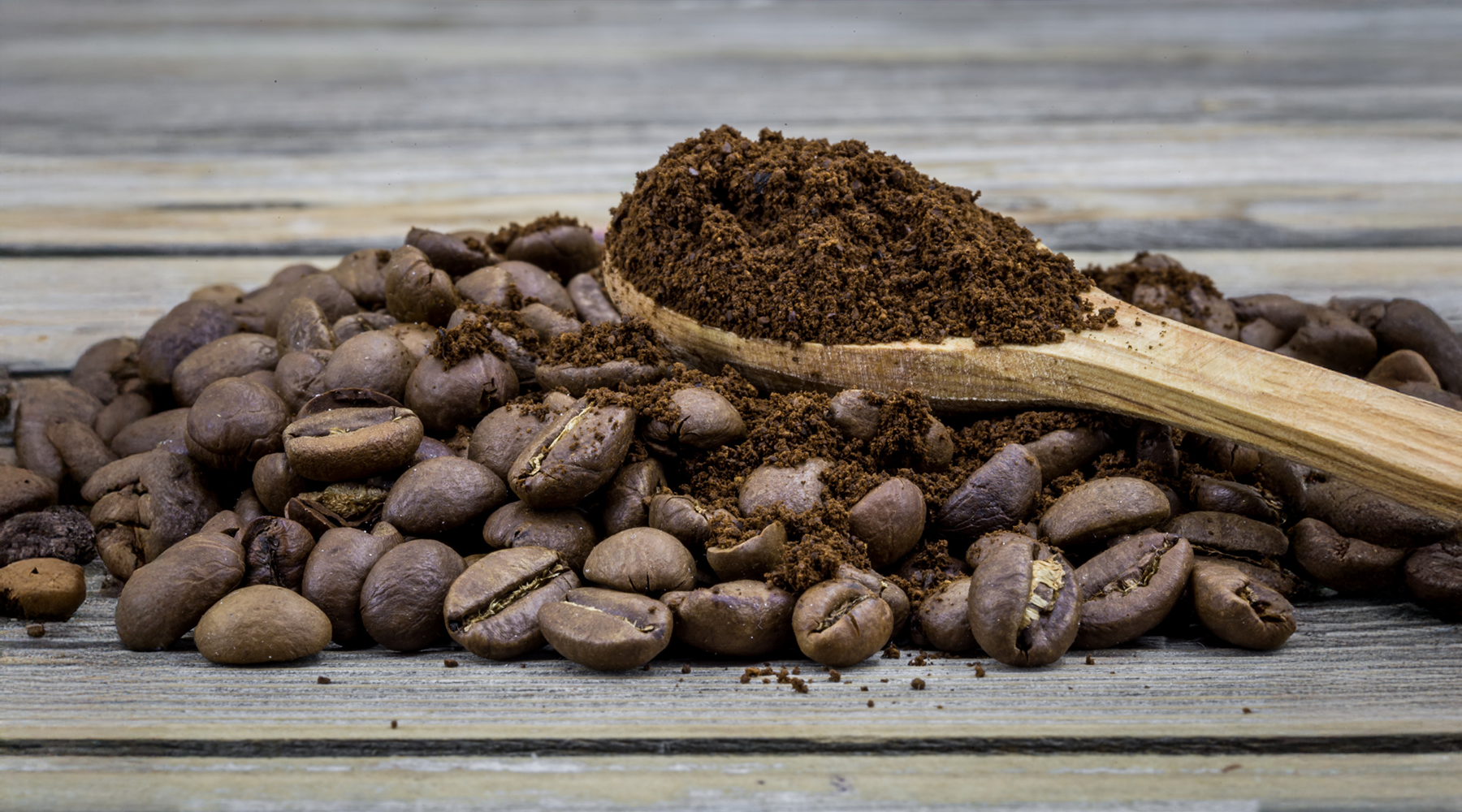 what-to-do-with-old-coffee-beans