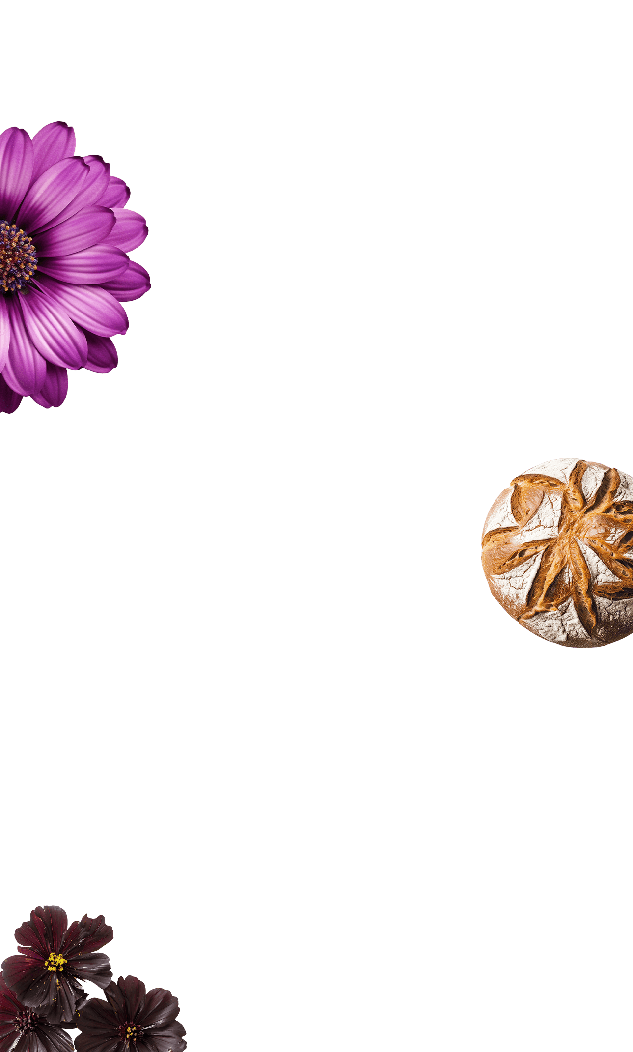 a purple flower next to a round white bread